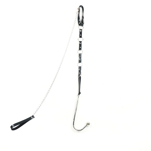 Leash EverydayUse with 5853 Kinky Collar Anal Hook and 0803